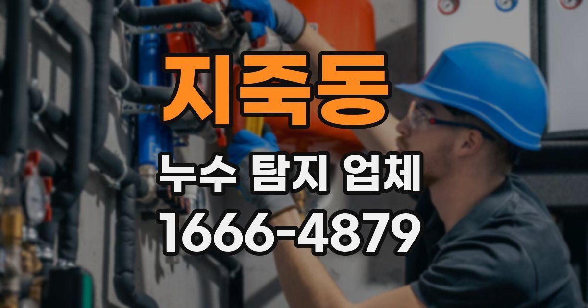 지죽동 누수 탐지 업체