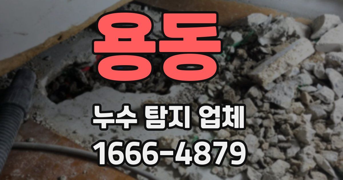 용동 누수 탐지 업체