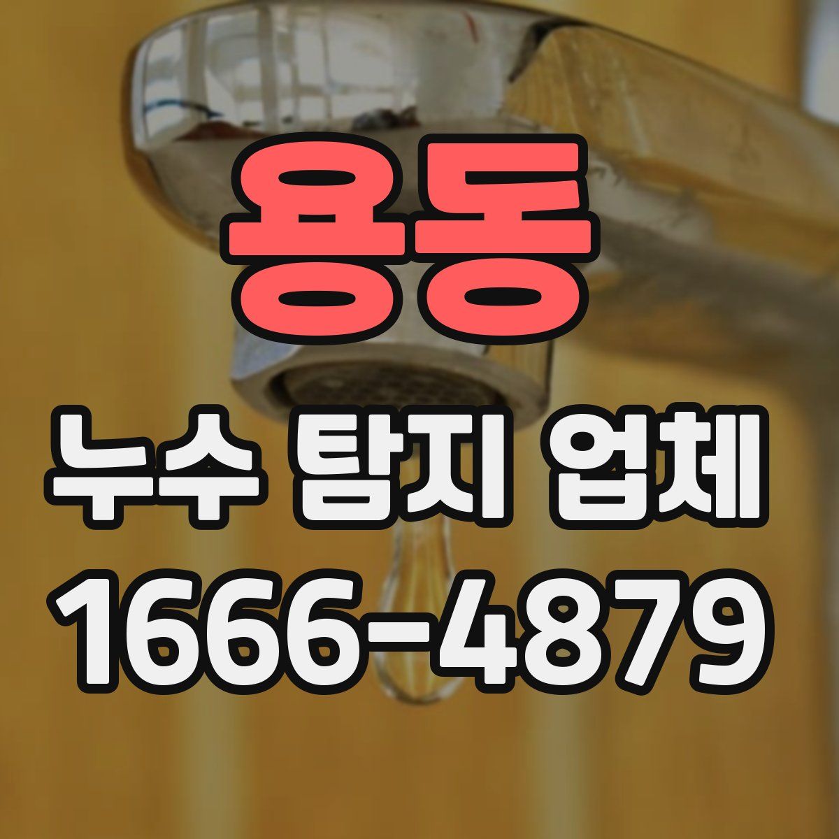 용동 누수 탐지 업체