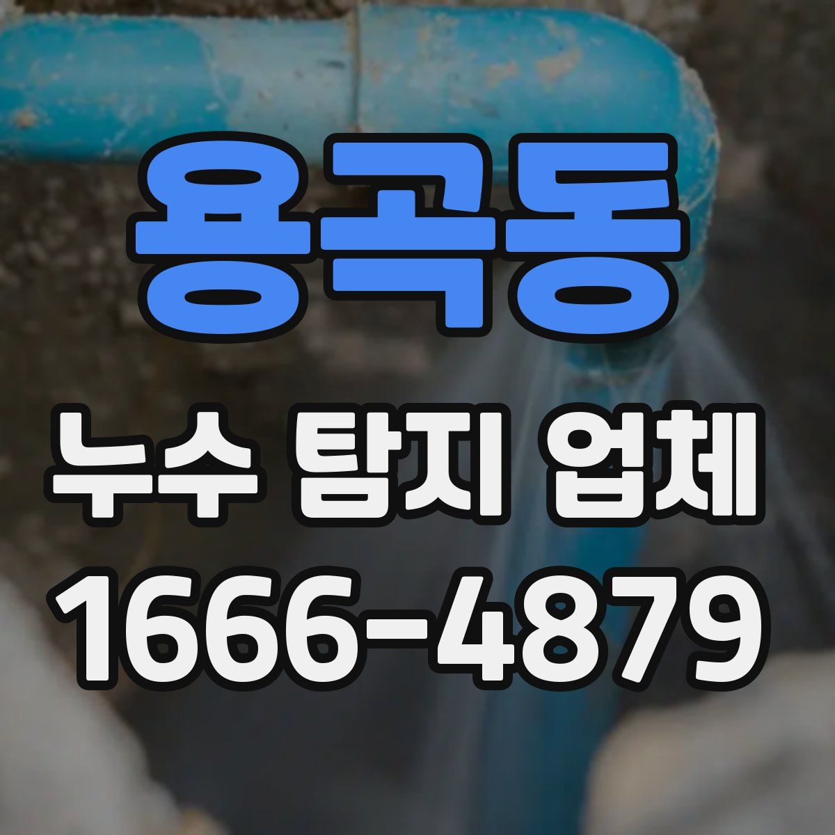 용곡동 누수 탐지 업체