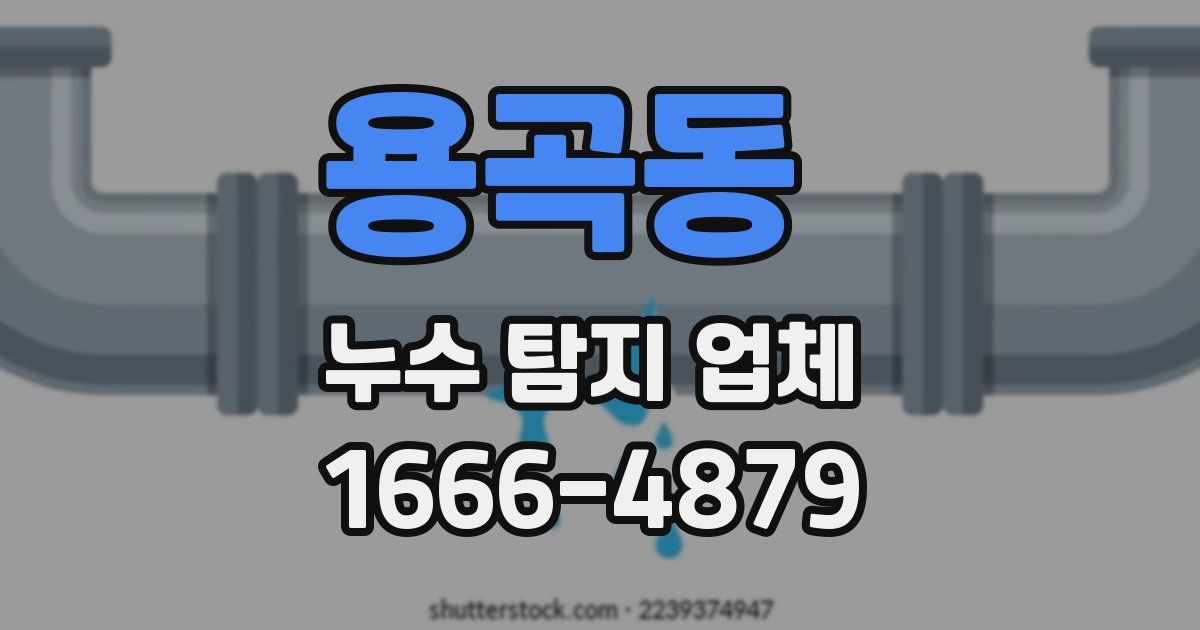 용곡동 누수 탐지 업체