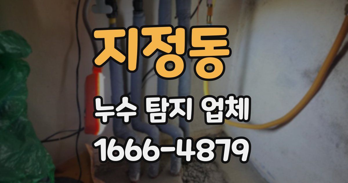 지정동 누수 탐지 업체
