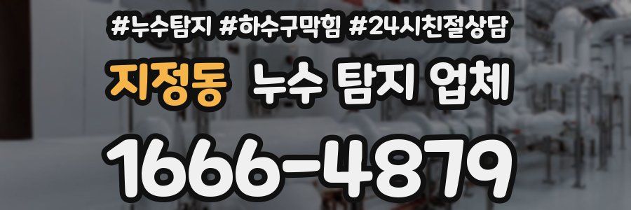 지정동 누수 탐지 업체