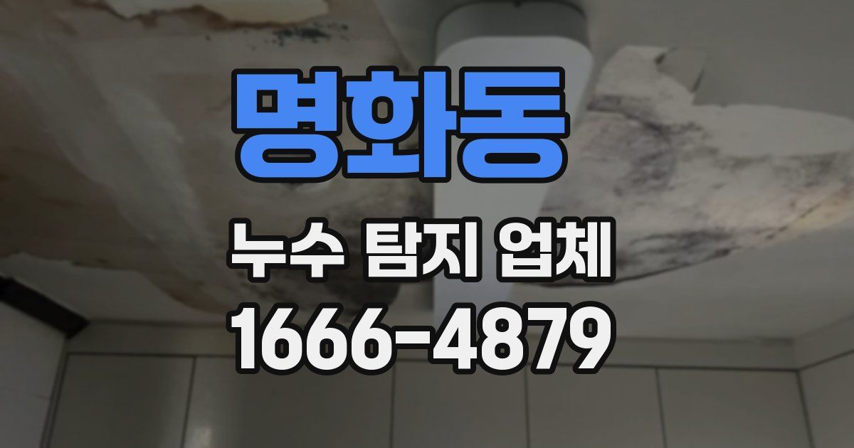 명화동 누수 탐지 업체