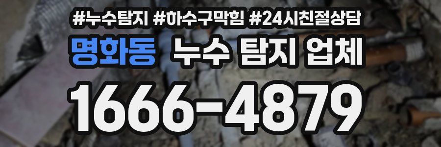 명화동 누수 탐지 업체