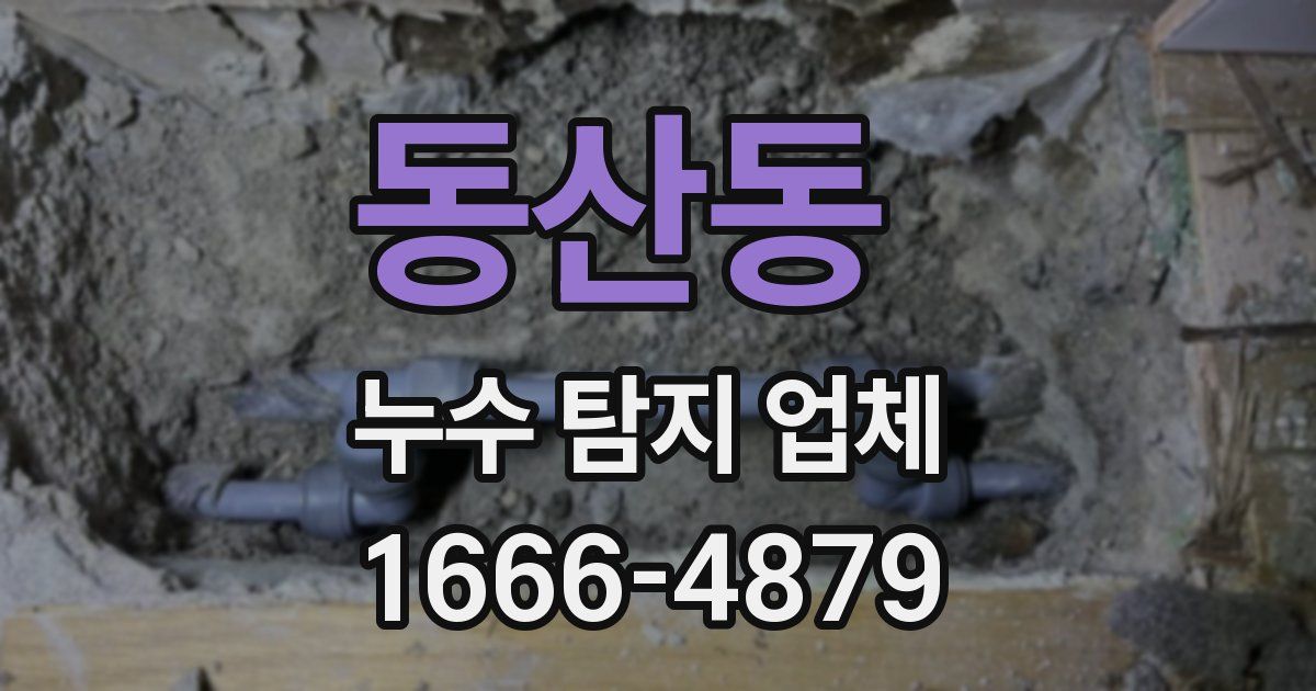 동산동 누수 탐지 업체