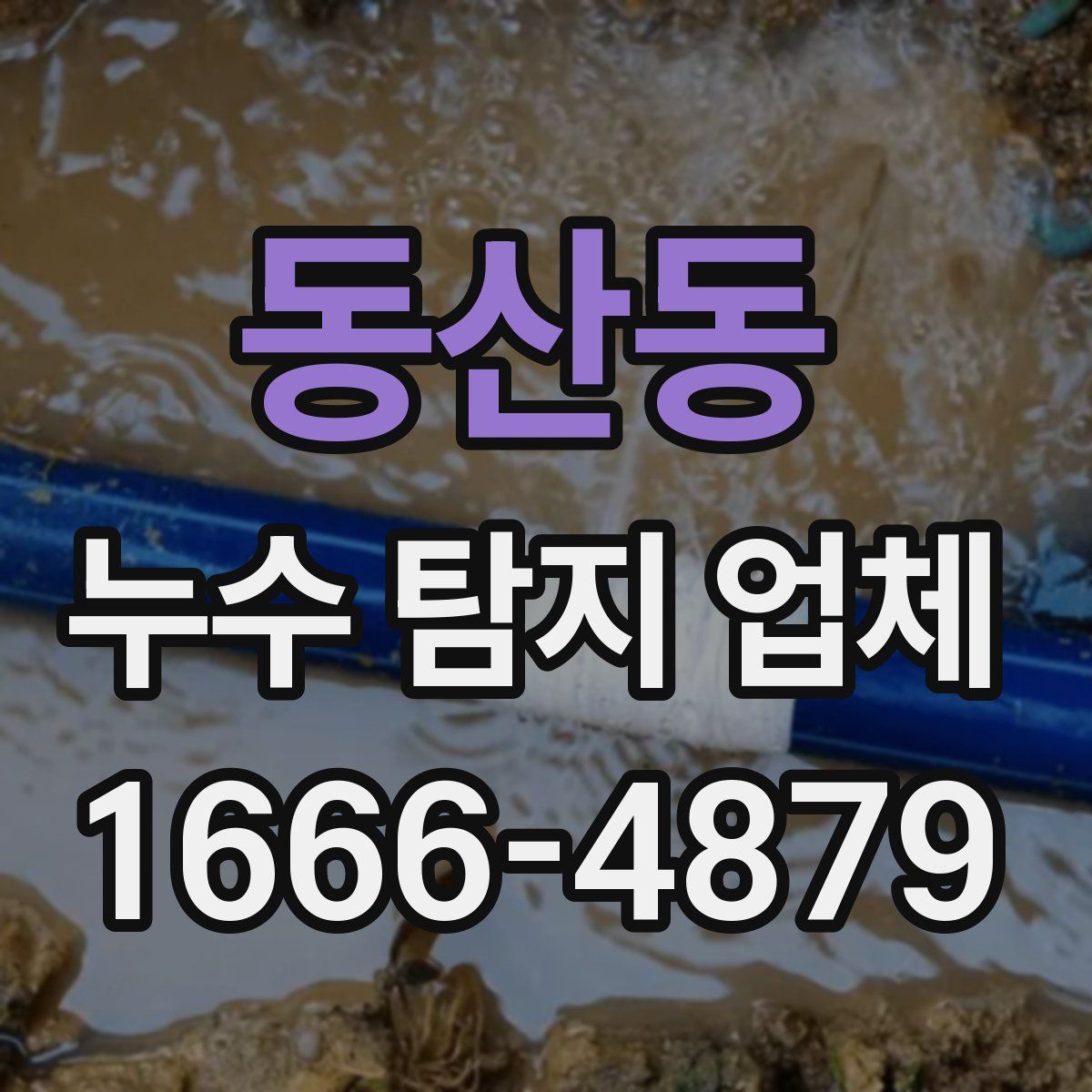 동산동 누수 탐지 업체