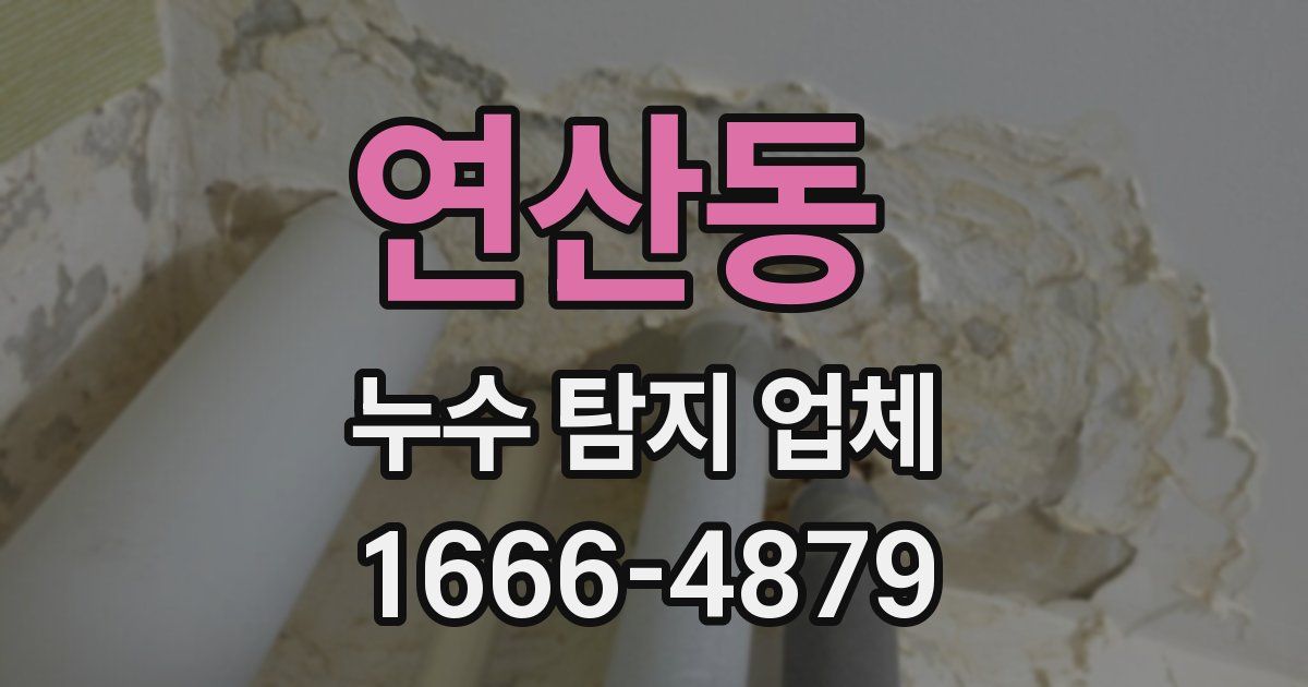 연산동 누수 탐지 업체