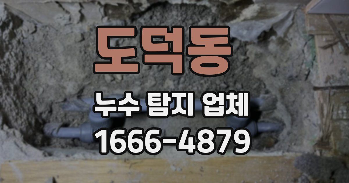 도덕동 누수 탐지 업체