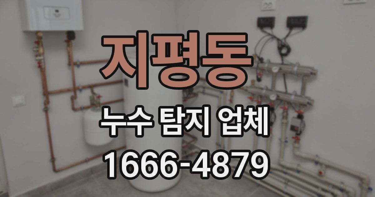 지평동 누수 탐지 업체