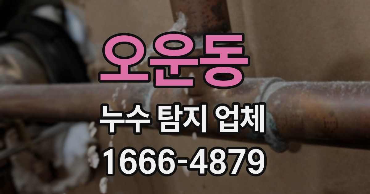 오운동 누수 탐지 업체