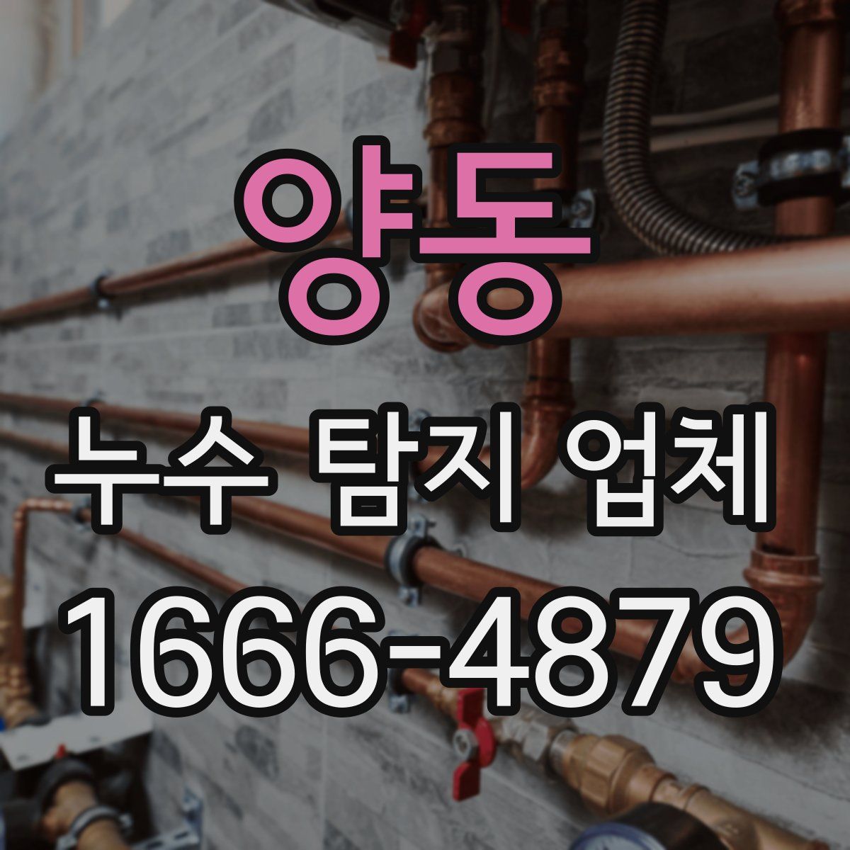 양동 누수 탐지 업체