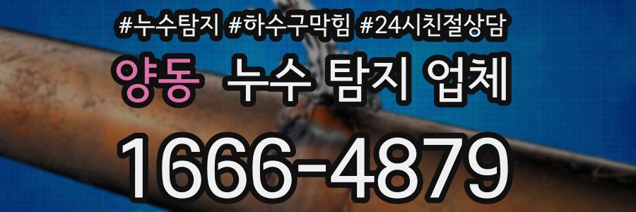양동 누수 탐지 업체