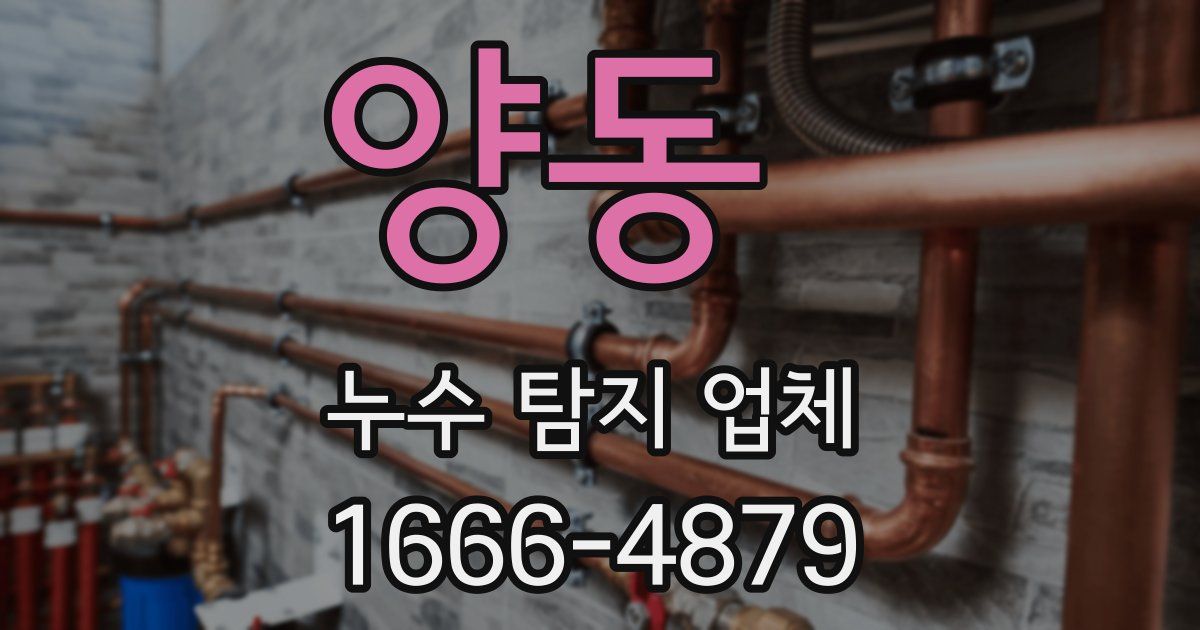 양동 누수 탐지 업체