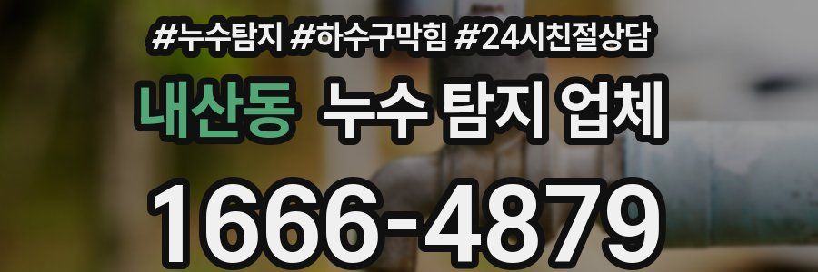 내산동 누수 탐지 업체