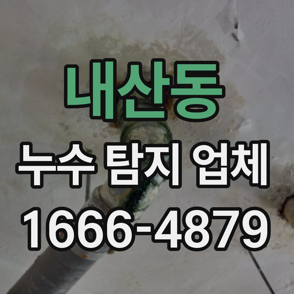 내산동 누수 탐지 업체