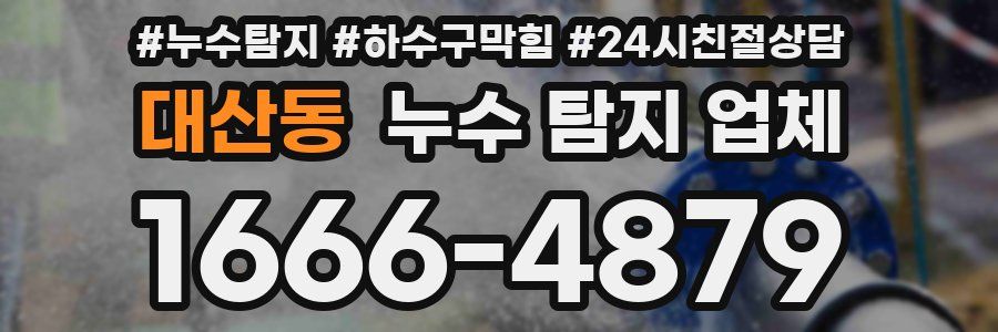 대산동 누수 탐지 업체