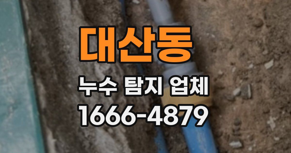 대산동 누수 탐지 업체