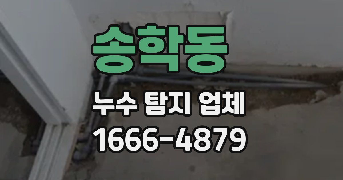 송학동 누수 탐지 업체