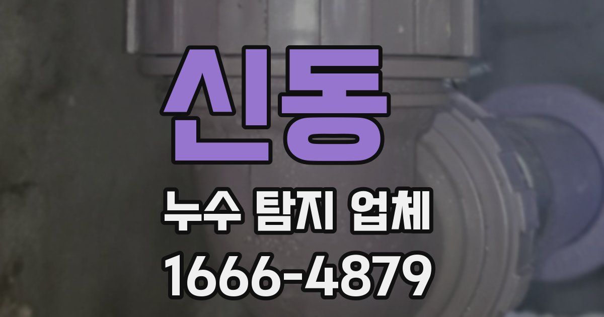 신동 누수 탐지 업체