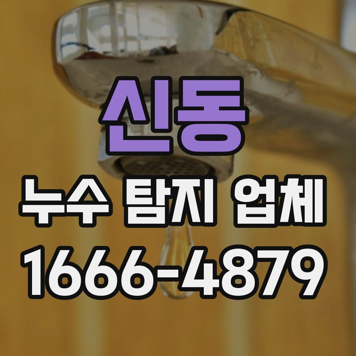 신동 누수 탐지 업체