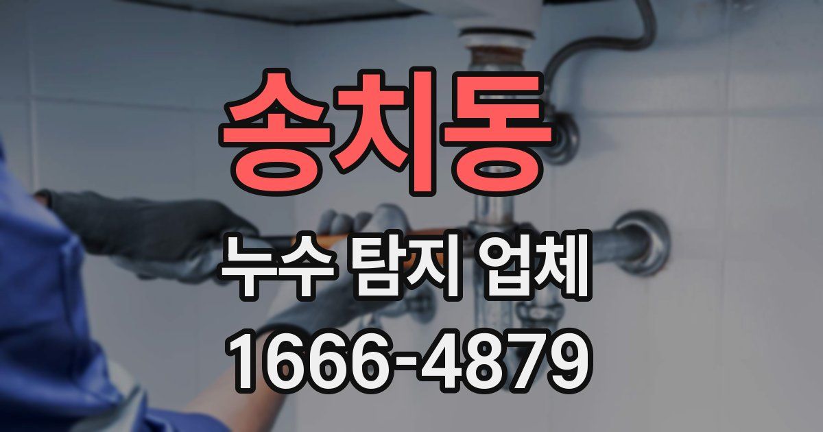 송치동 누수 탐지 업체