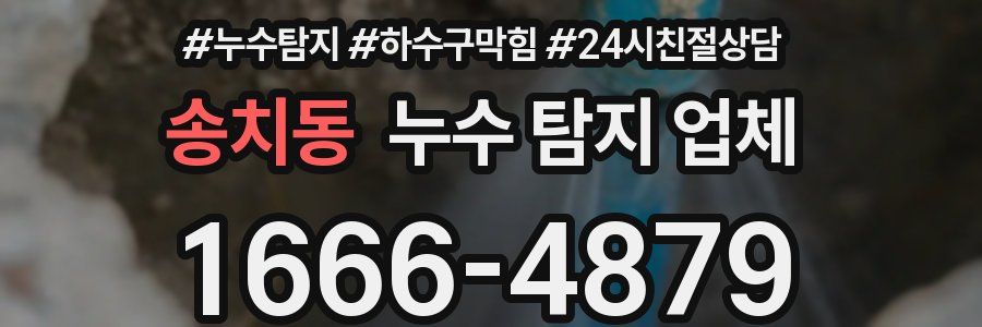 송치동 누수 탐지 업체