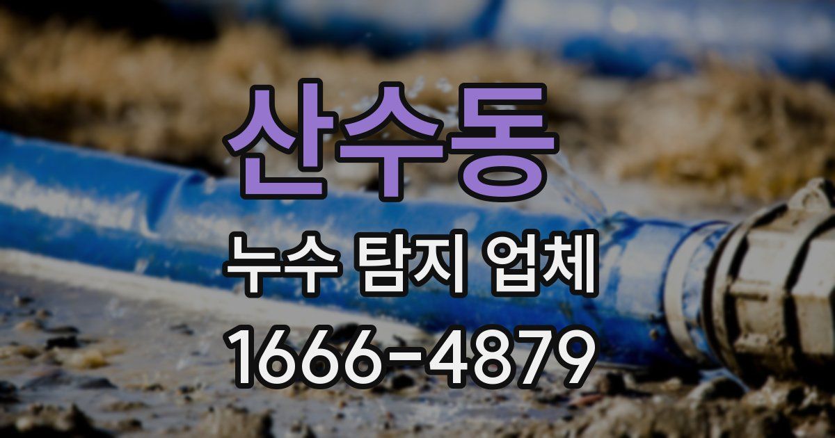산수동 누수 탐지 업체