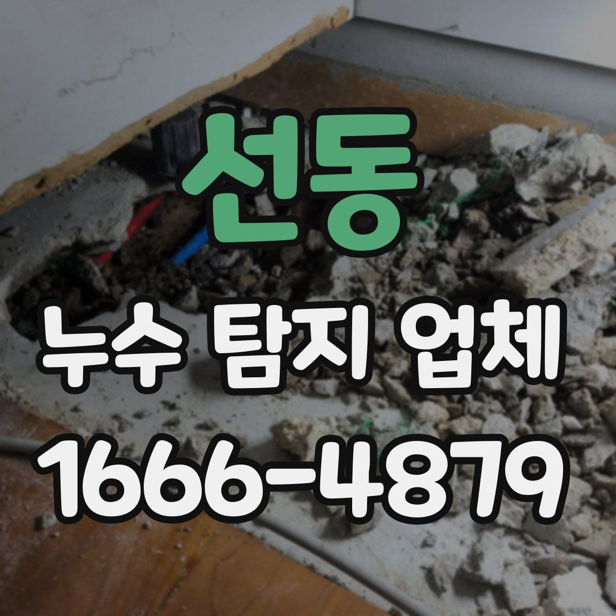 선동 누수 탐지 업체