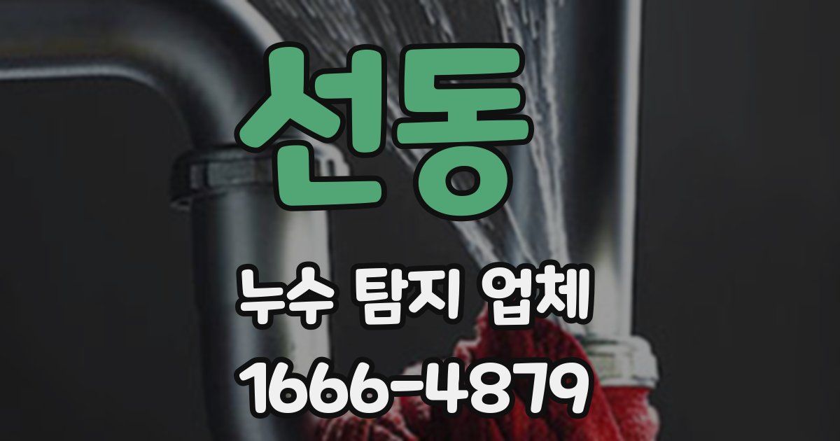 선동 누수 탐지 업체