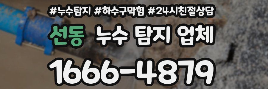 선동 누수 탐지 업체