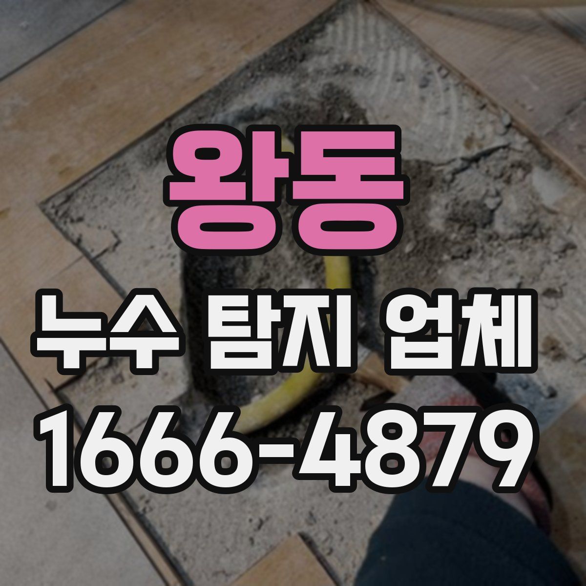 왕동 누수 탐지 업체