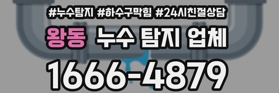 왕동 누수 탐지 업체