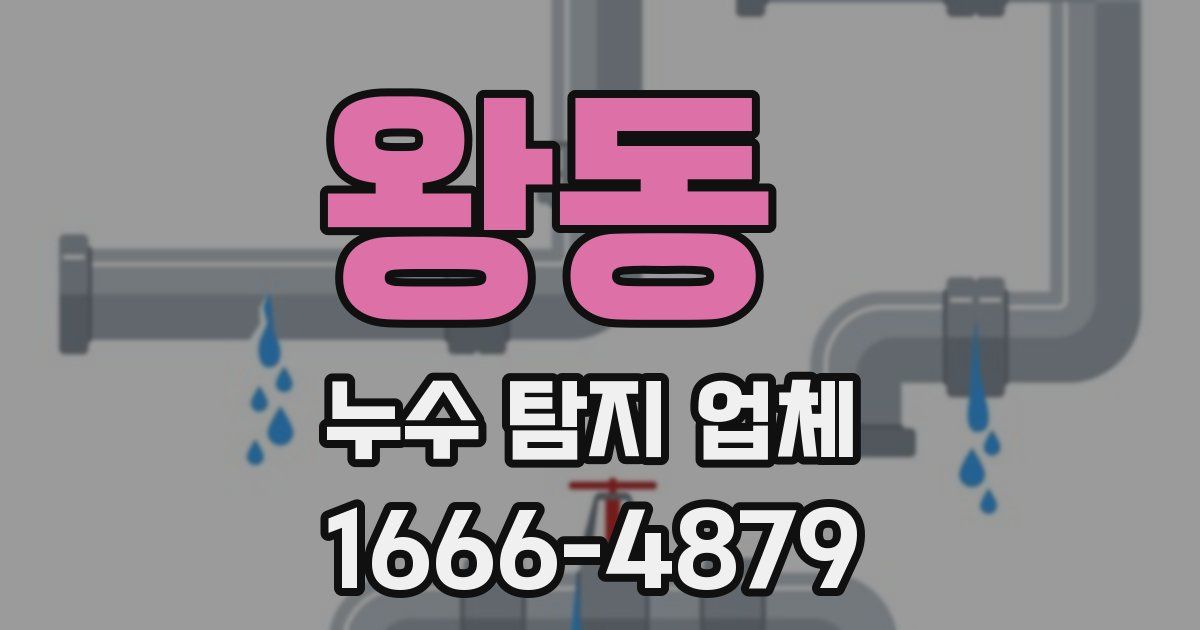 왕동 누수 탐지 업체