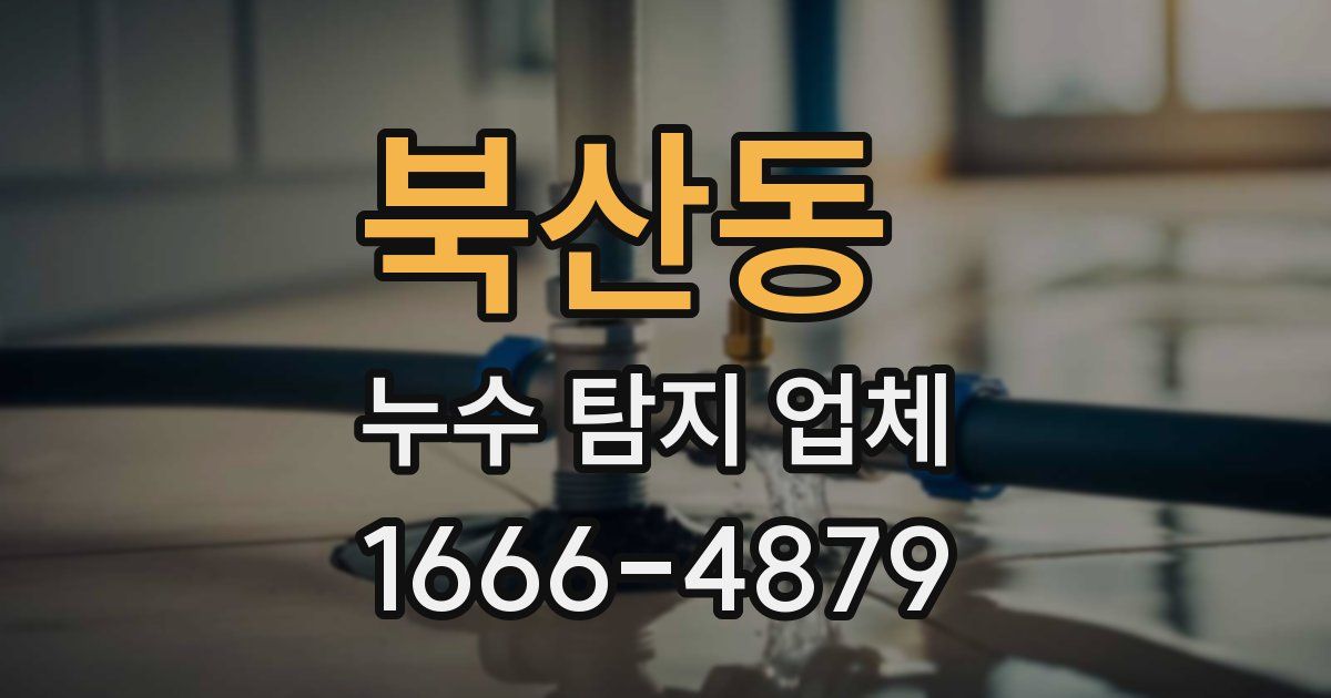 북산동 누수 탐지 업체