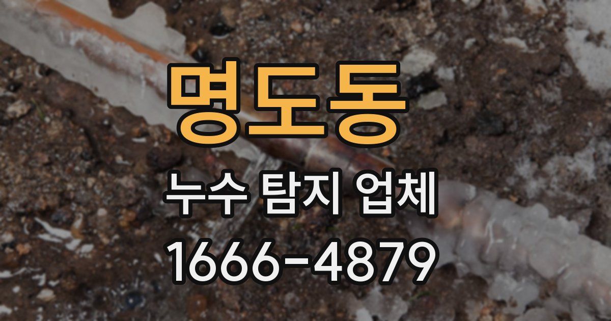 명도동 누수 탐지 업체