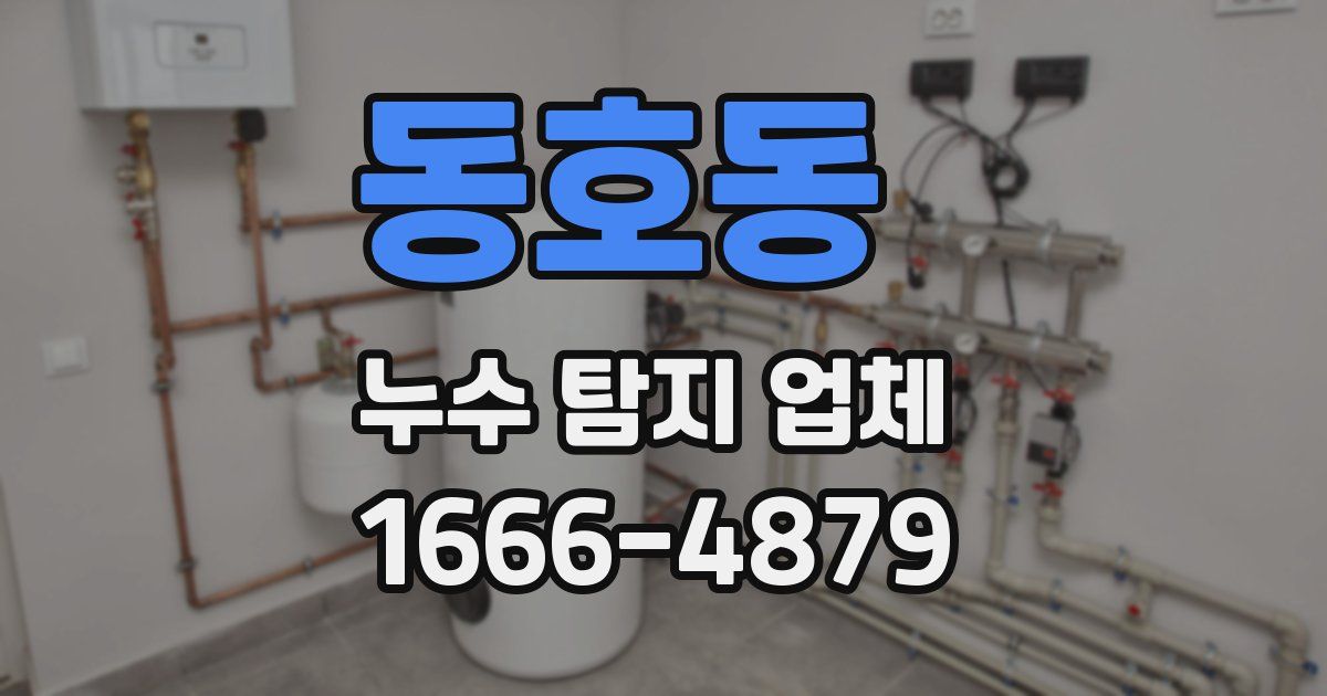 동호동 누수 탐지 업체