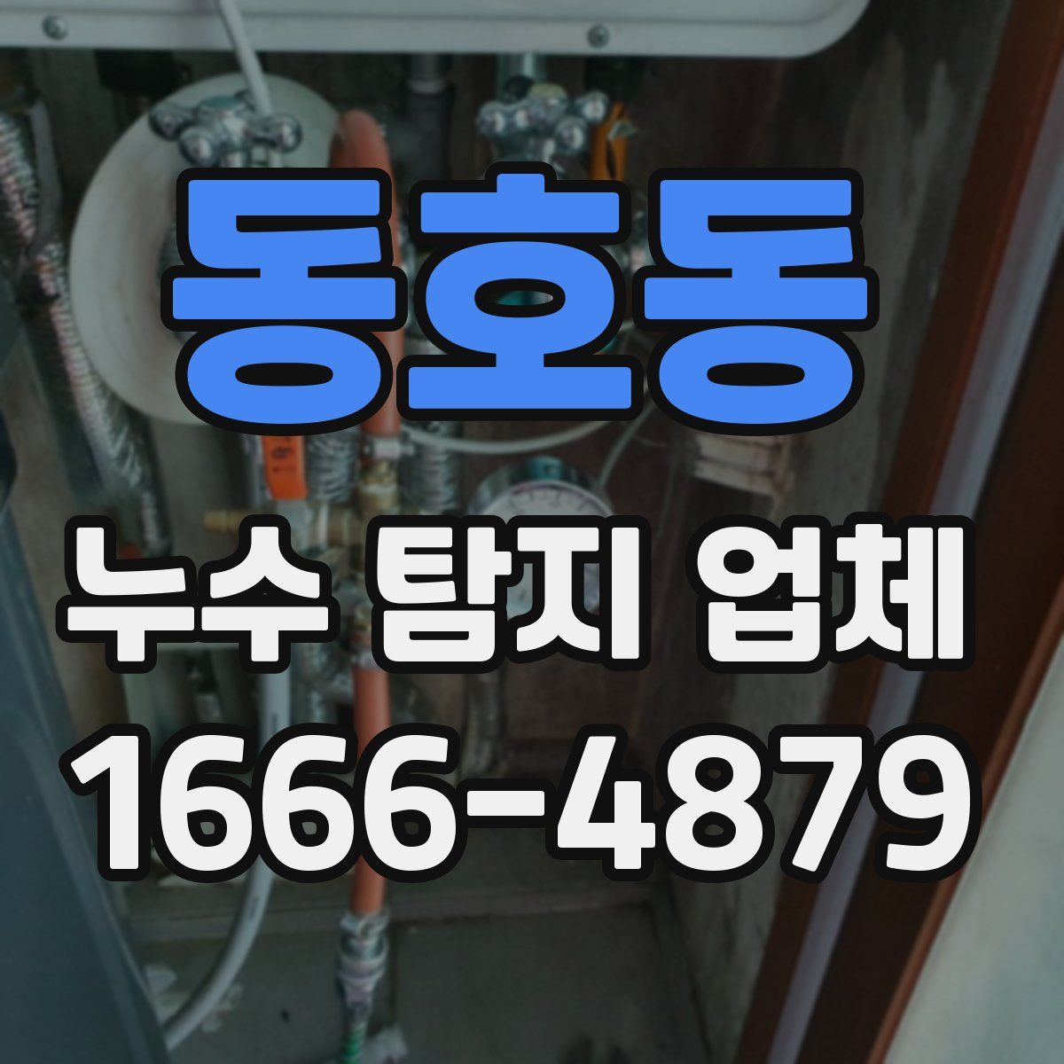 동호동 누수 탐지 업체