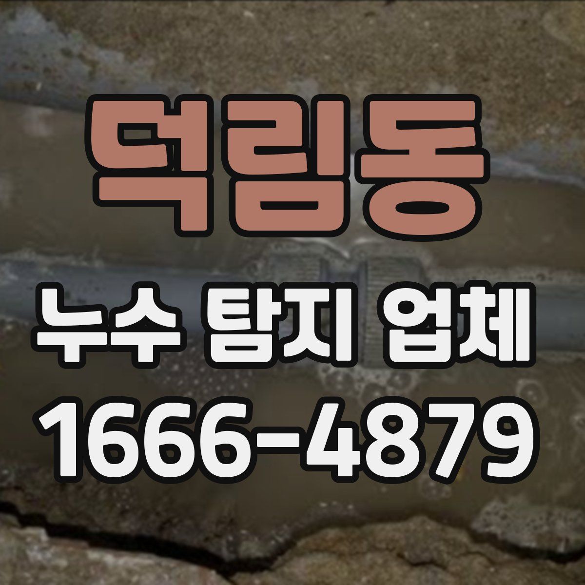 덕림동 누수 탐지 업체