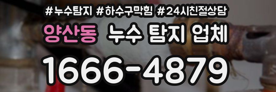 양산동 누수 탐지 업체