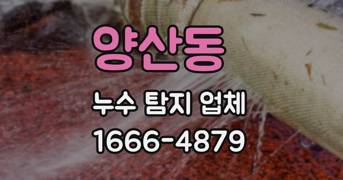 양산동 누수 탐지 업체