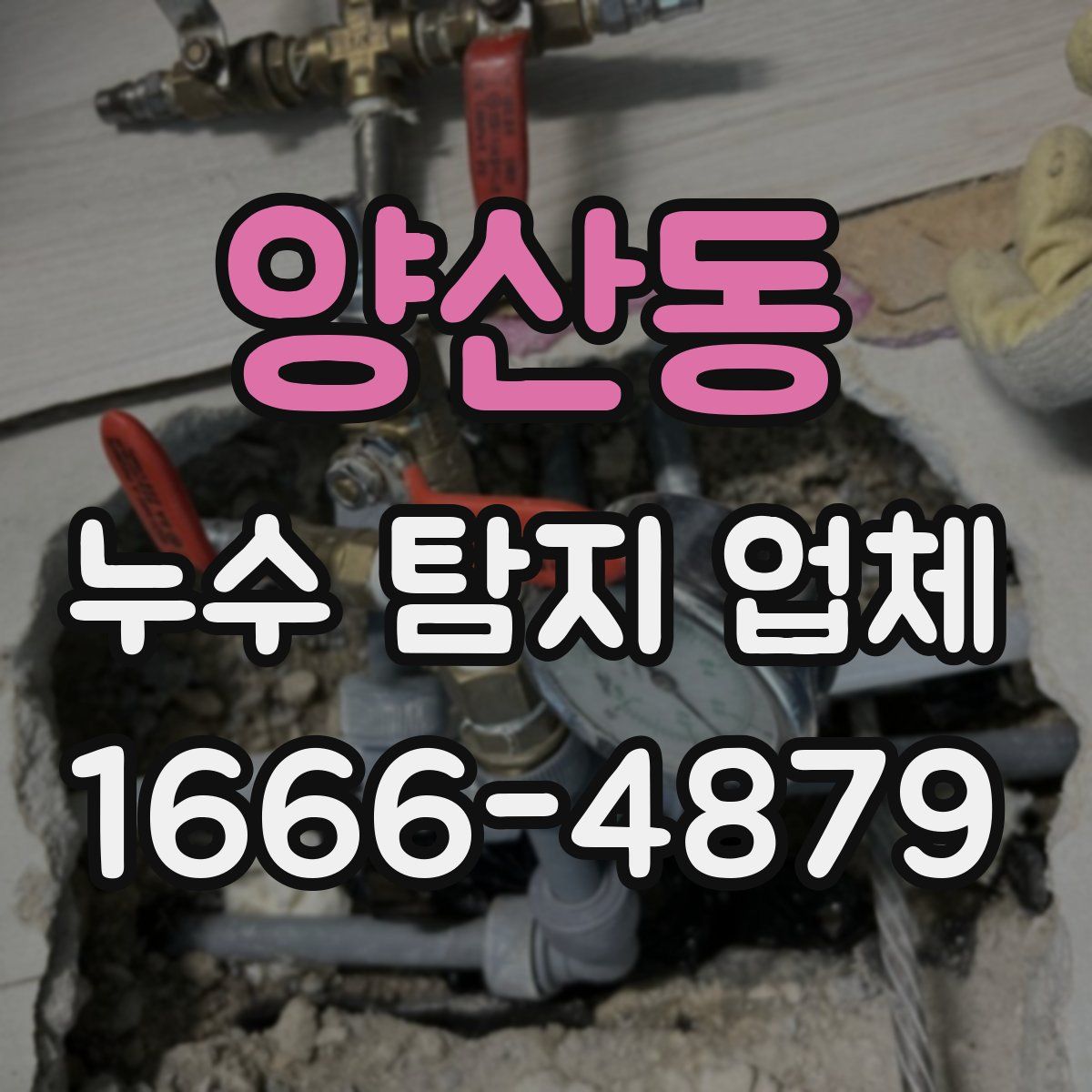 양산동 누수 탐지 업체