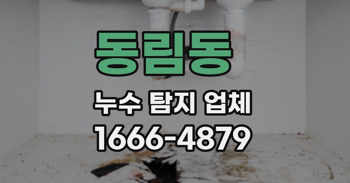 동림동 누수 탐지 업체