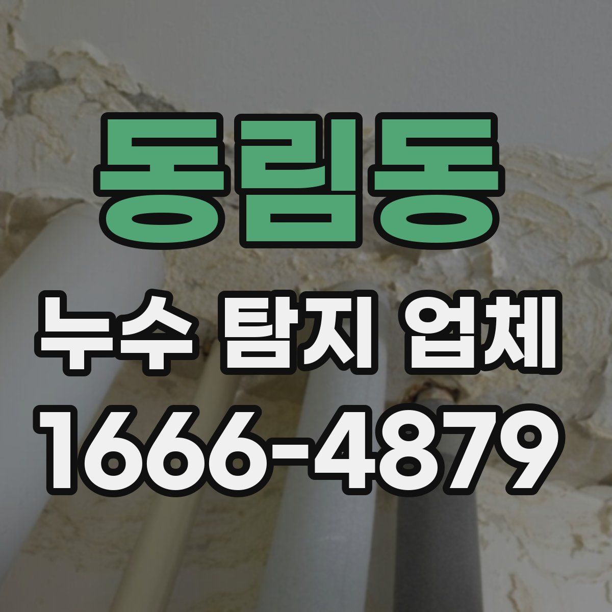 동림동 누수 탐지 업체