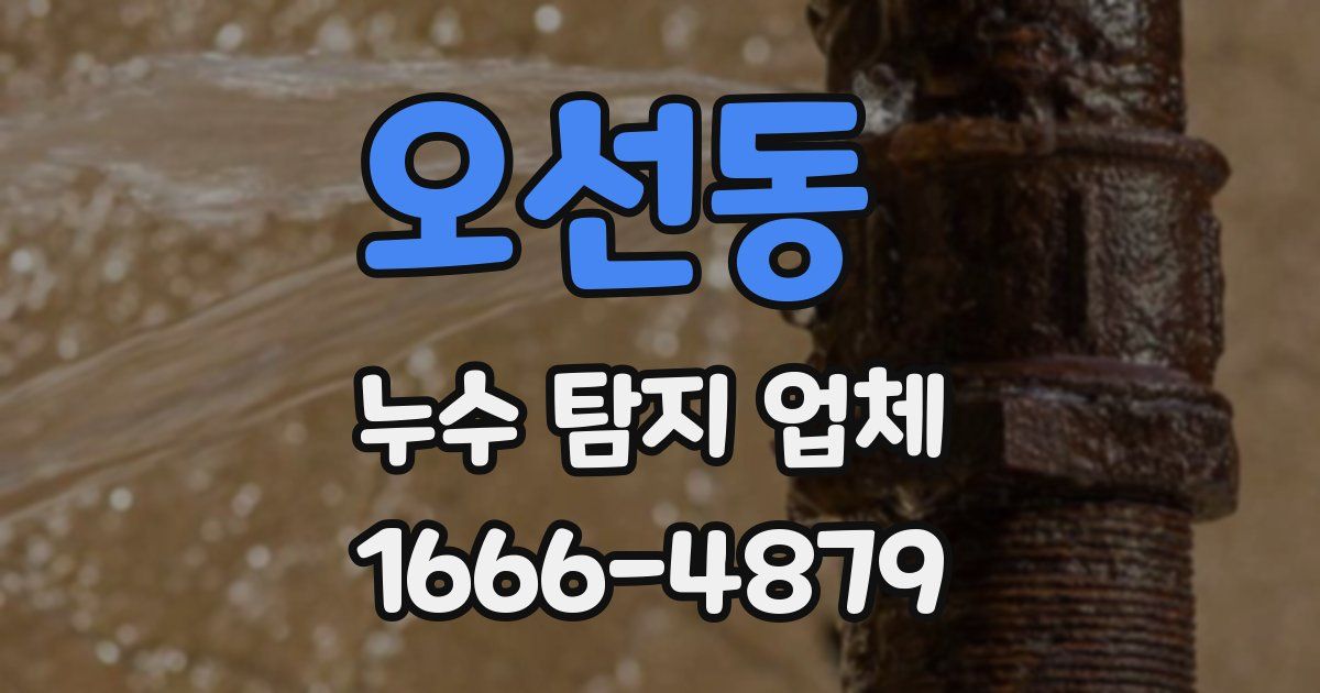 오선동 누수 탐지 업체