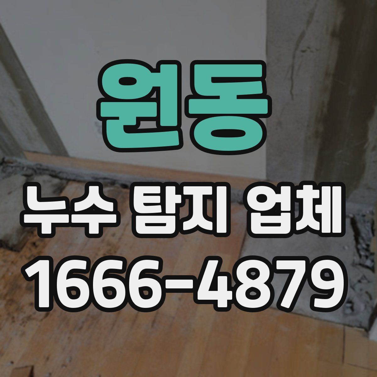 원동 누수 탐지 업체