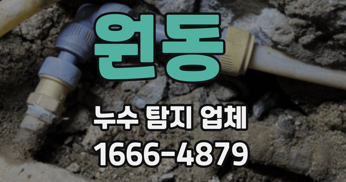 원동 누수 탐지 업체