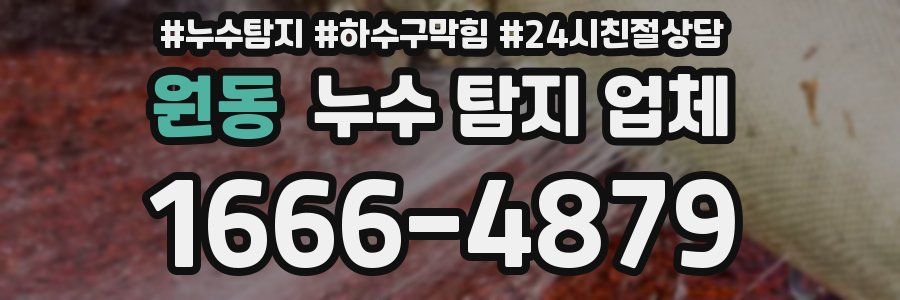 원동 누수 탐지 업체