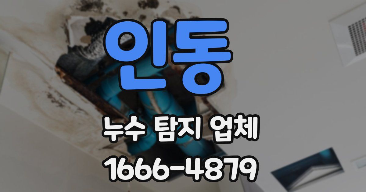 인동 누수 탐지 업체