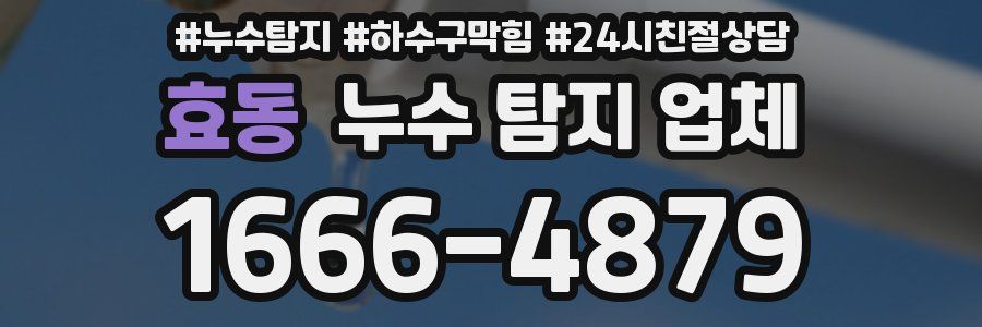 효동 누수 탐지 업체